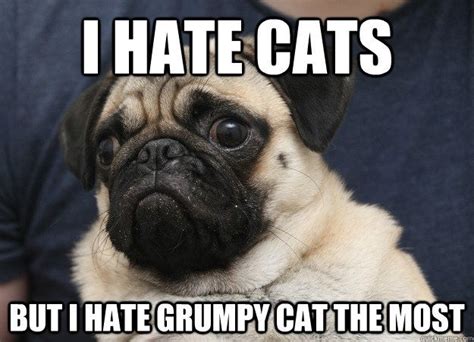 I Hate Cats But I Hate Grumpy Cat The Most Grumpy Pug Cats