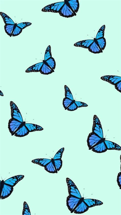 Download A Beautiful Blue Butterfly Flies In The Air And Looks Around
