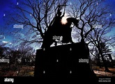 Estatua del rey Ladislao Jagellón de Polonia Central Park, la ciudad de ...