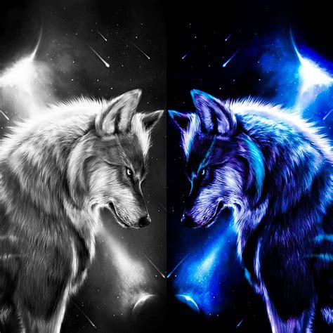 x px P Descarga gratis Pared de lobo lobos Fondo de pantalla de teléfono HD