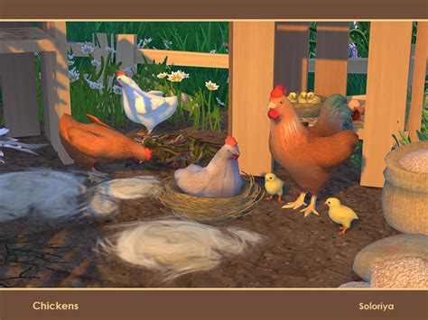 Soloriya Chickens Sims 4