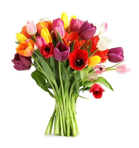 Beautiful Bouquet Of Spring Tulip Flowers Stock Image Image Of