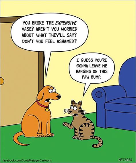 Funny Cat And Dog Comics Cat Mania