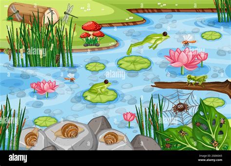 Pond Scene With Many Green Frogs Illustration Stock Vector Image And Art