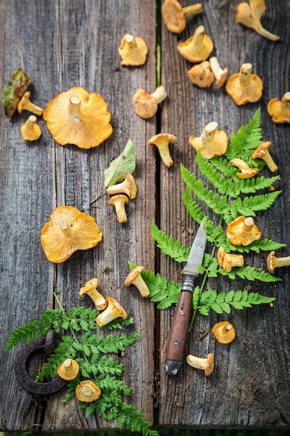 Premium Photo Wild And Chanterelle Mushrooms Freshly Collected From