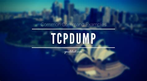 Tcpdump Common Command Examples Yeah Hub Hot Sex Picture