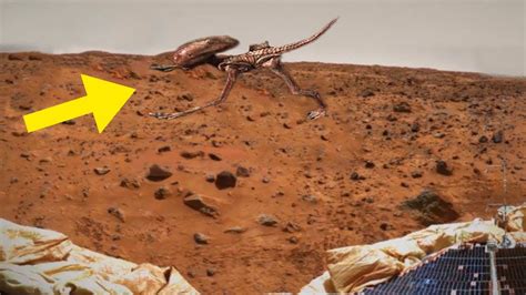Wer Lebt Auf Dem Mars Erste Echte Bilder YouTube