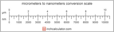 Convert Micrometers To Nanometers µm To Nm