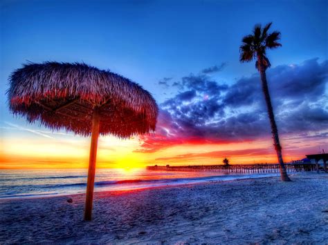 Beach Tropics Sea Sand Palm Trees Sunset Beautiful