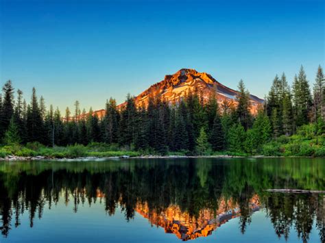 Pine Forest And The Mountain Are Reflected In The Water Yosemite
