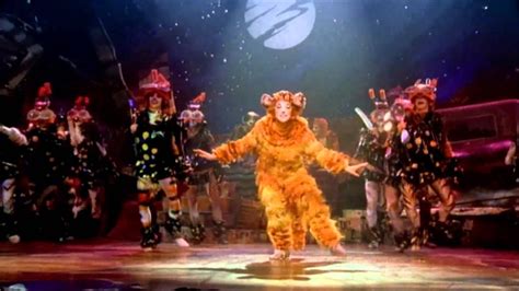Cat The Musical Trailer Youtube