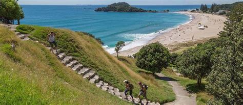 Official Tourism And Travel Guide Tauranga Bay Of Plenty New Zealand