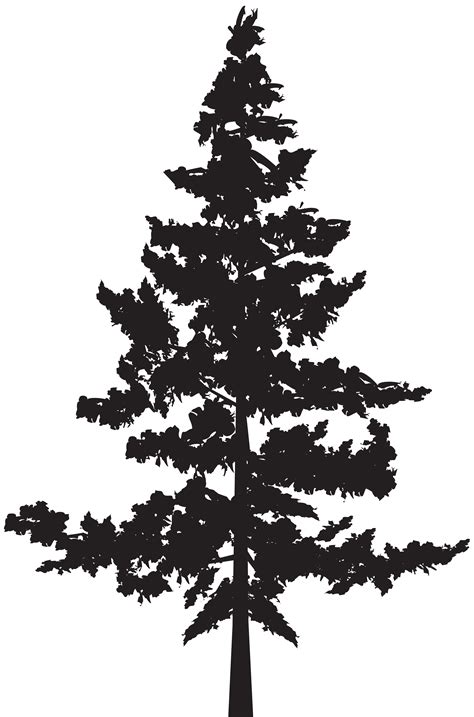 Clip Art Pine Tree Silhouette 20 Free Cliparts Download Images On