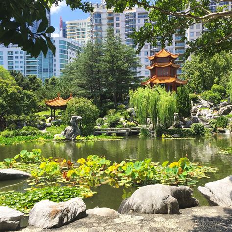 Chinese Garden Of Friendship Punti Di Interesse A Darling Harbour Con