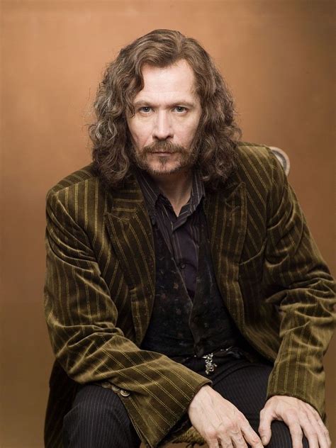 Sirius Harry Potter Characters Gary Oldman Harry Potter Order