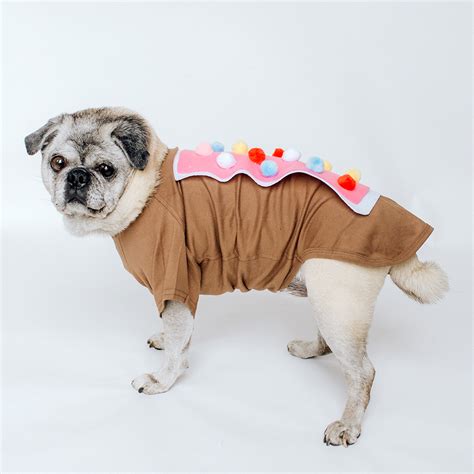 Diy Dog Halloween Costume Pawsh Magazine