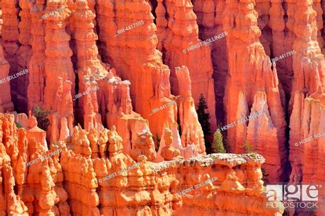 Red Eroded Limestone Columns Bryce Canyon National Park Sunrise Point