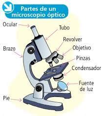 Partes externas de un libro: dibujo de microscopio y sus partes - Buscar con Google ...