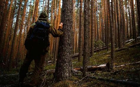 В Канаде мужчина 34 дня блуждал по лесу Разные интересные новости в