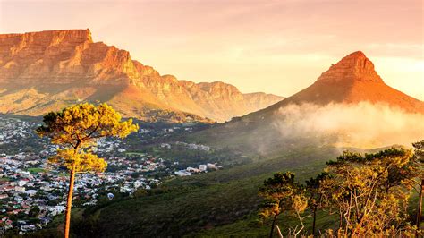Canephora is native to western and central subsaharan africa, from guinea to uganda and southern sudan. Cape Town: South Africa's new capital of culture | Travel | The Sunday Times