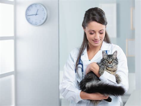 10 Tips For Starting A Veterinary Clinic