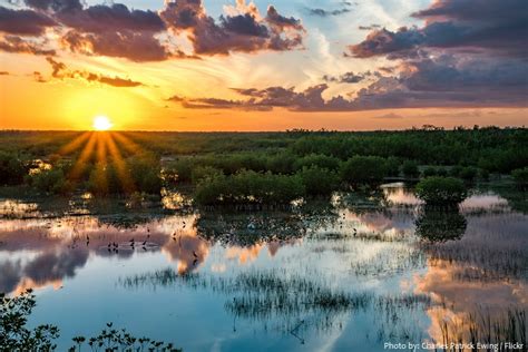 Interesting Facts About The Everglades Just Fun Facts