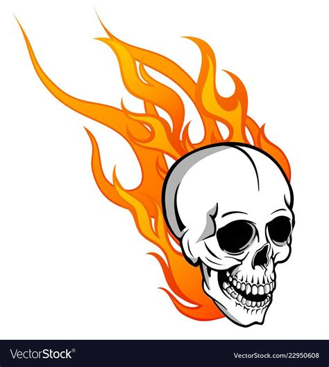 Skull On Fire With Flames Vector Image On Vectorstock Drawing Flames