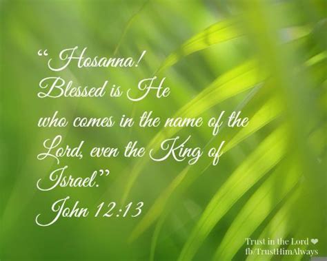 The celebration of palm sunday, commemorates the entrance of jesus to jerusalem. 1000+ images about Scripture verses on Pinterest ...