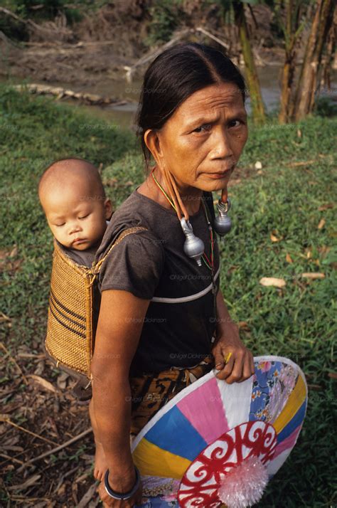 That's why this is also considered a circular system, the team said. Dayak woman and child, nomadic Penan, tropical rainforest ...