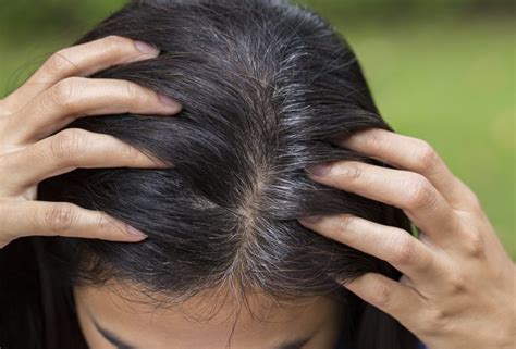 8 Common Causes Of Gray Hair At A Young Age Beauty Chat Blog