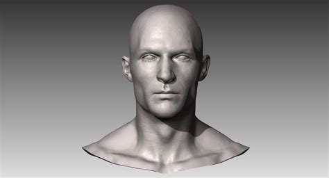 Head 3d Model Free