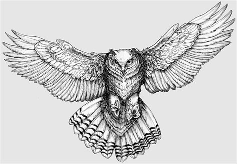 Drawings For Tattoos Owl Drawing La Ink Five Dots Tattoo Owl Tattoo