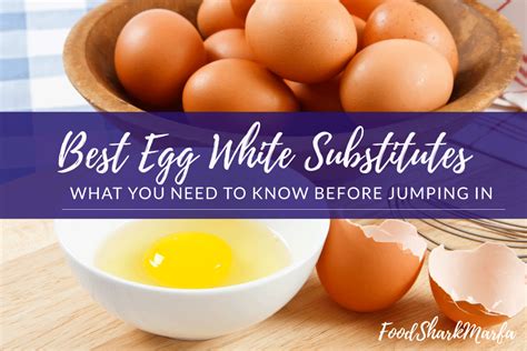 The 6 Best Egg White Substitutes Food Shark Marfa In 2021 Egg White
