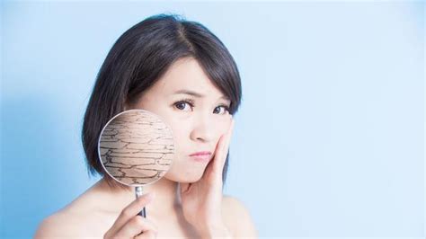 Faktor pendorong kulit wajah kering. 14 Cara Mengatasi Kulit Kering dan Kusam Secara Alami ...