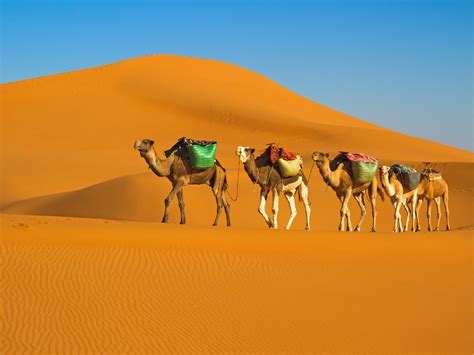 12 Of The Worlds Most Beautiful Deserts