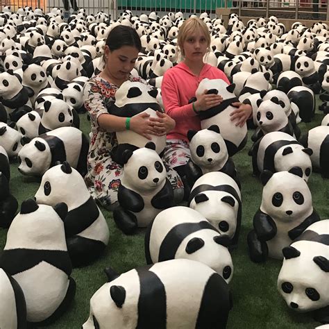 1600 Pandas Plus At Metropolis At Metrotown A Dad In The Burbs