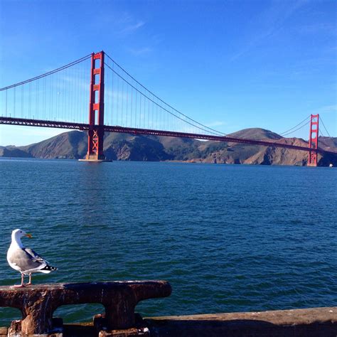 Golden Gate Bridge | Golden gate, Golden gate bridge, San francisco golden gate bridge