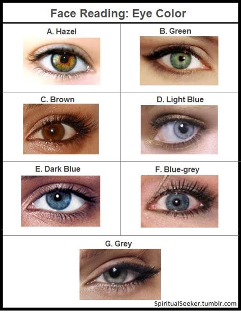 Face Reading Eye Color Eye Color Chart Genetics Eye Color Facts