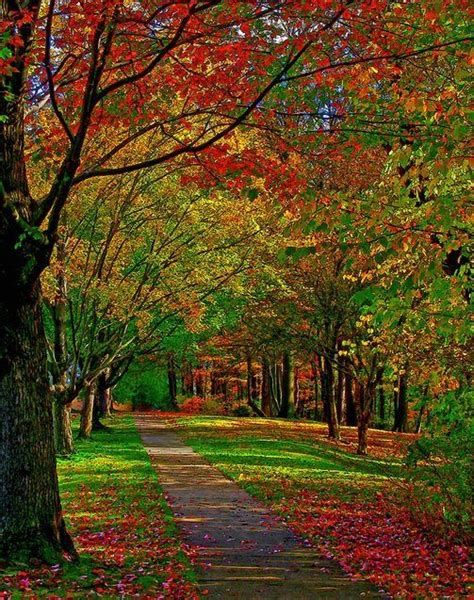 Pin By Frodost On Hello September Autumn Scenery Fall Pictures