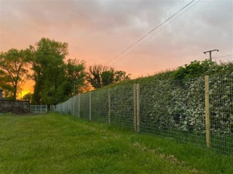 Outward Hounds Secure Dog Field Halmerend Outward Hounds