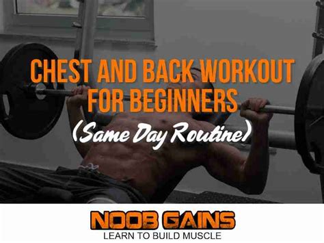 Chest And Back Workout For Beginners Same Day Routine Noob Gains