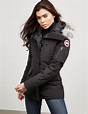 Canada Jacket / Canada Goose Black Down Mountaineer Jacket in Black for ...