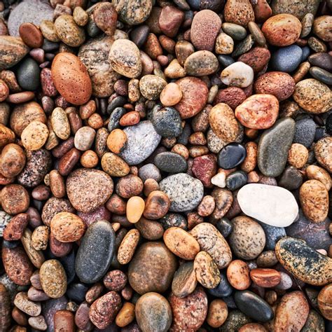 Many Colored Pebbles Wall Art Photography