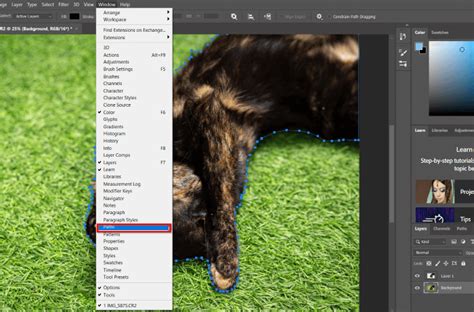 5 Ways To Remove Image Background In Photoshop