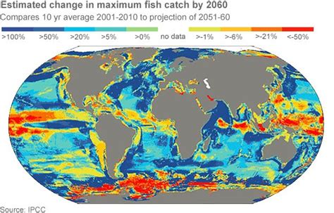 Climate Impacts Report Key Findings BBC News