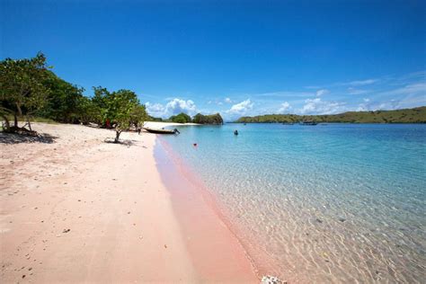 12 Beautiful Pink Sand Beaches Around The World Pink Sand Beach
