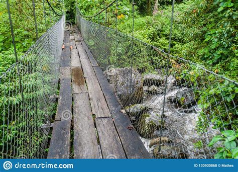Suspension Bridge At The Hiking Trail Sendero Los Quetzales In National