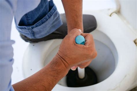 9 Ways To Fix A Clogged Toilet Quick And Easy Shop Toilet