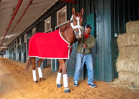 Kentucky Derby Hero Mage Arrives At Pimlico Sunday Morning Preakness
