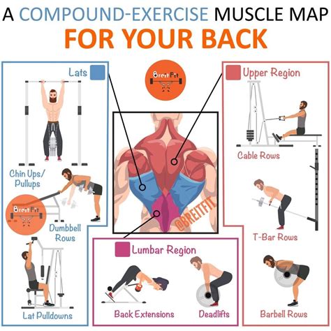 Most Of The Common Compound Back Exercises Will Somewhat Activate All Those Muscle Groups But